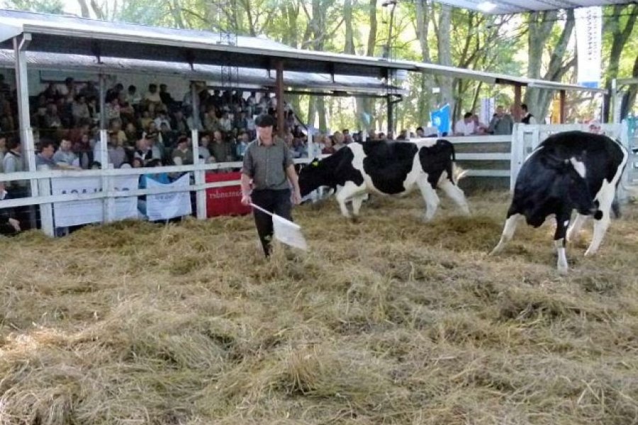 Realización de la Vidriera Genética en la Rural