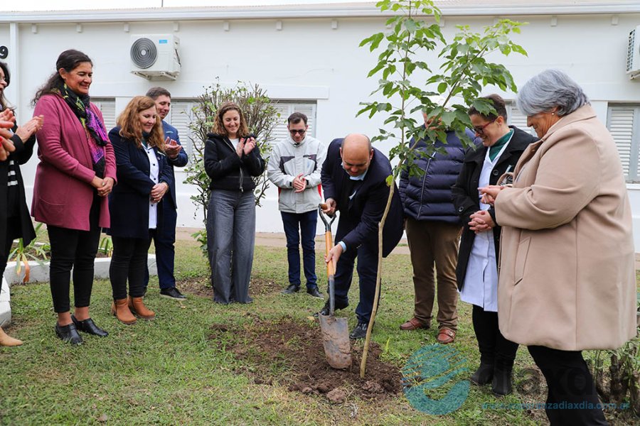 La plantación del árbol conmemorativo - Foto Prensa Municipalidad de Esperanza