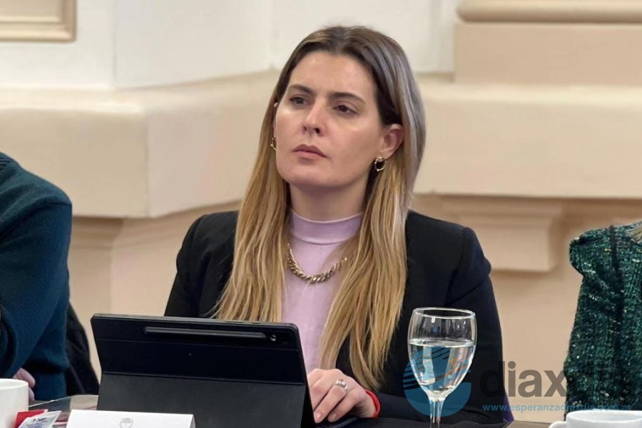 La diputada Lionella Cattalini