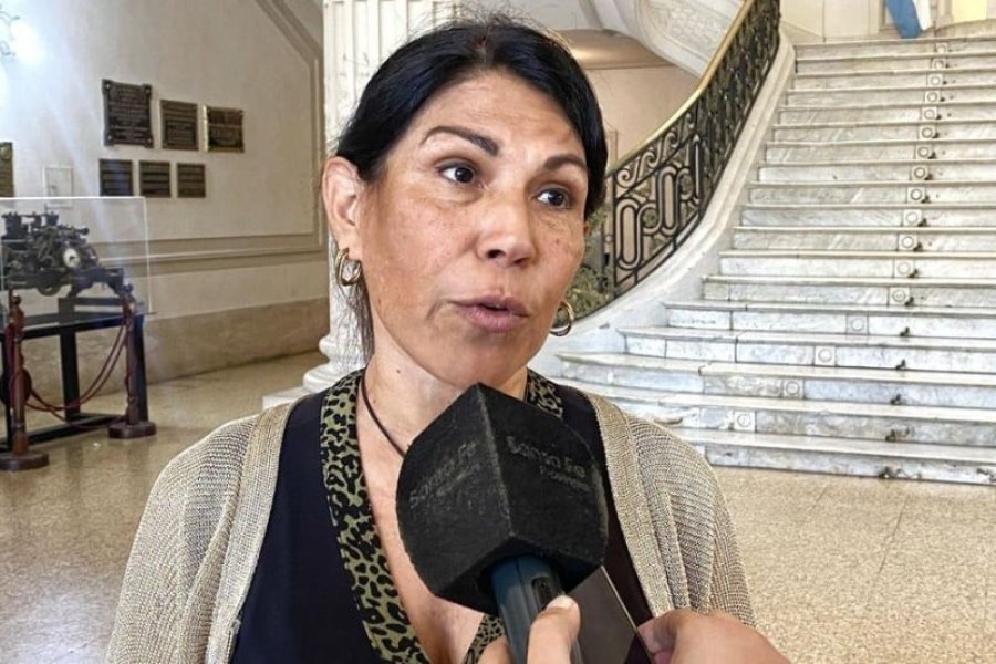 Analía Chumpitaz, directora de Promoción y Prevención del Ministerio de Salud provincial.