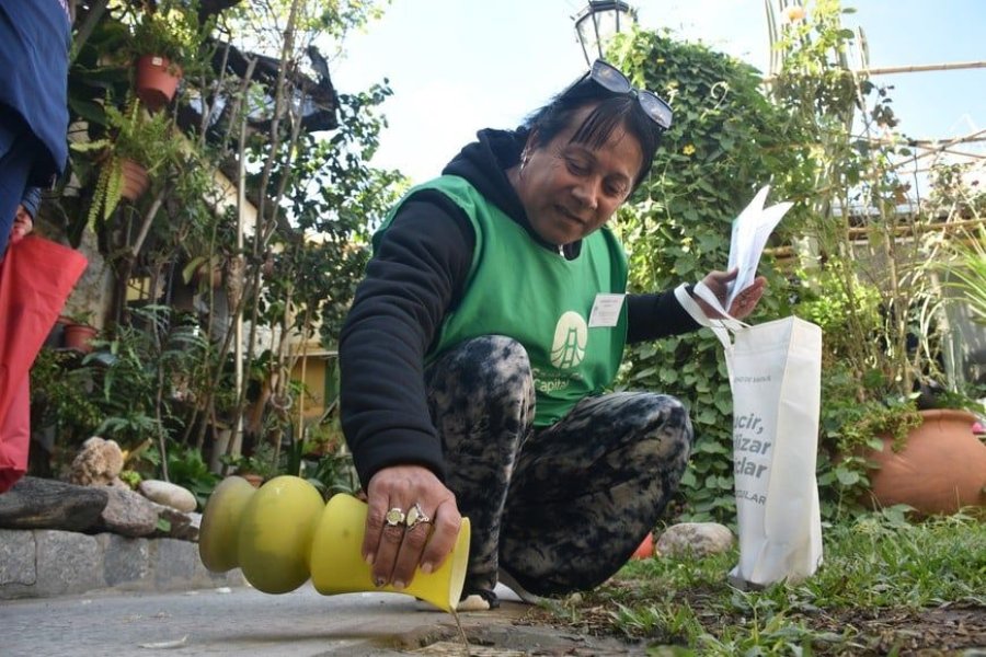 Una recorrida por la vivienda permite controlar si hay elementos que acumulan agua. Si no es posible descartarlos, se los debe mantener limpios o colocar boca abajo.