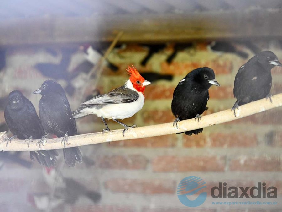 Prensa Medio Ambiente