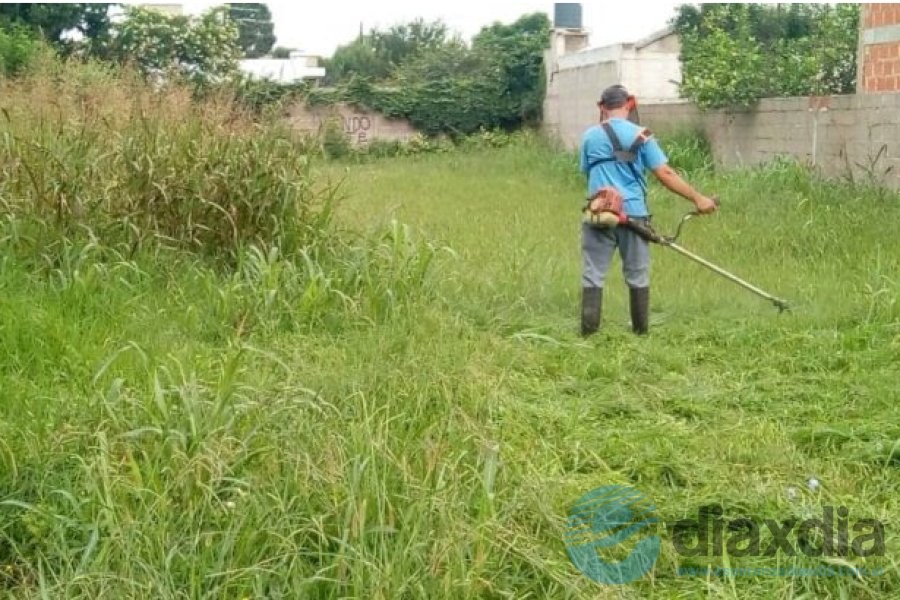 Limpieza terrenos baldios