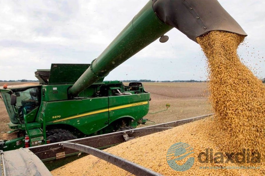 Cosecha de soja