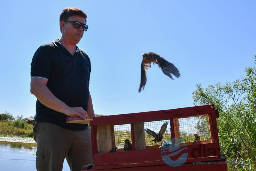 Animales liberados por el Ministerio de Ambiente