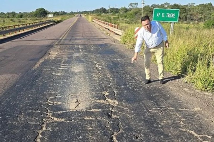 El juez federal Aldo Alurralde dio lugar al amparo