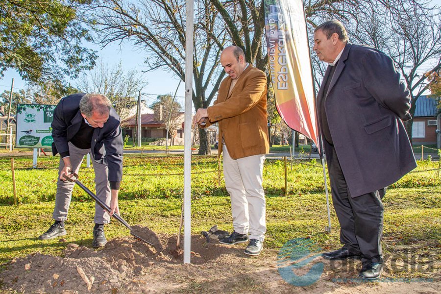 Los primeros árboles fueron plantados durante el acto - Foto Prensa Municipalidad
