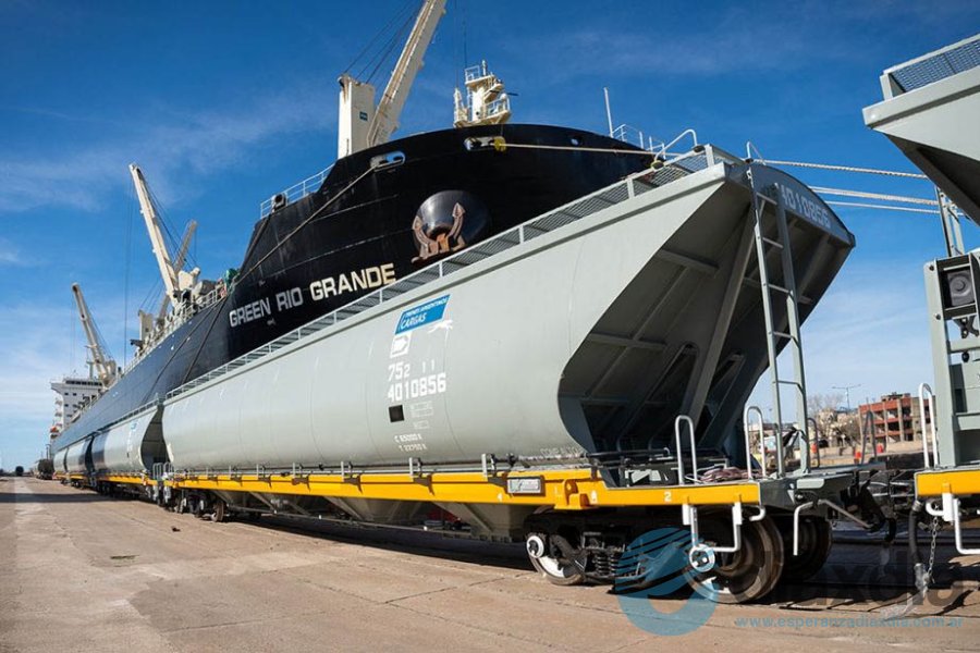 Los nuevos vagones llegaron al puerto argentino