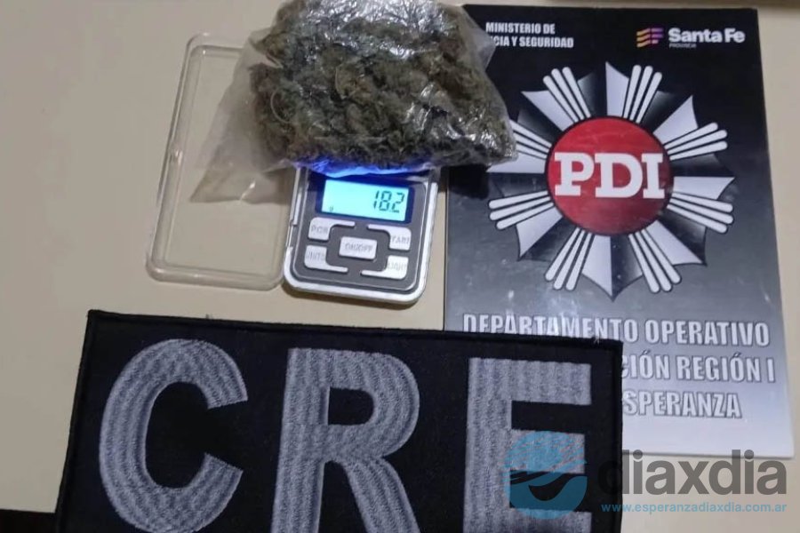 La marihuana secuestrada en Esperanza