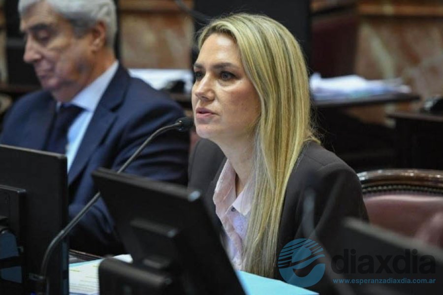 La única senadora santafesina que votó en contra