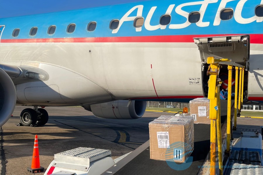 Esta semana comenzó Exporta Simple desde Sauce