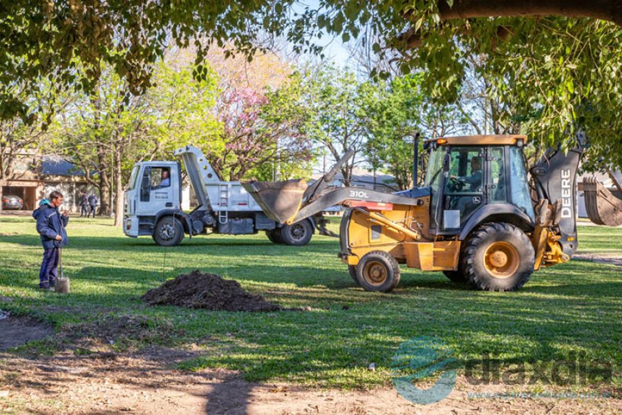 Los trabajos comenzaron esta semana.