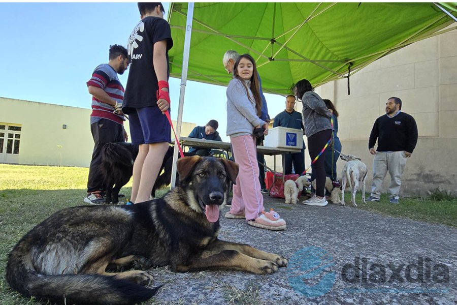 La vacunación se realiza en todos los barrios